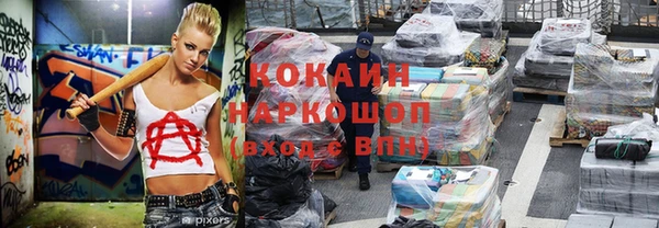 СК Касимов