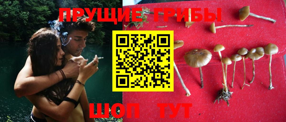 Галлюциногенные грибы Magic Shrooms  Вход с VPN  Курганинск 