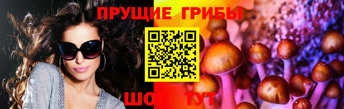 Галлюциногенные грибы GOLDEN TEACHER Курганинск